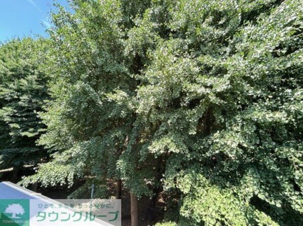 Park side Narimuneの物件内観写真